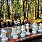 Привычка побеждать (5 причин научить ребенка играть в шахматы)